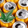Image of a marijuana leaf atop beverage cans