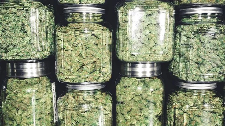 Image of cannabis flower in jars