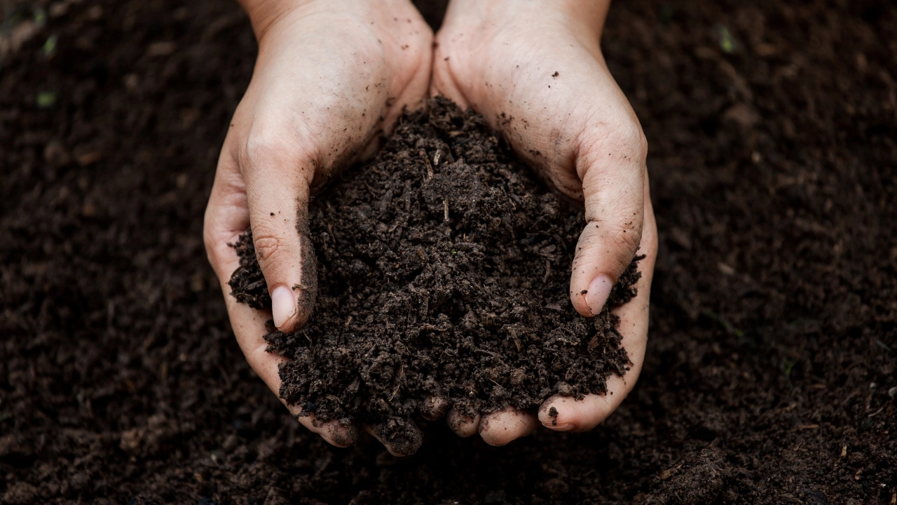 Image of two hands holding soil