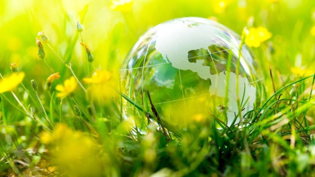 Image of a glass Earth sitting amid grass