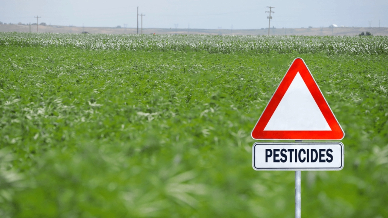 Image of a no-pesticides sign in a field