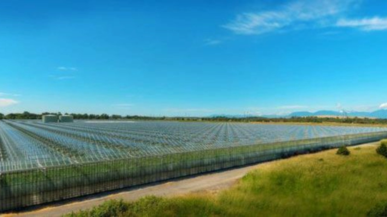 Image of Pure Sunfarms property