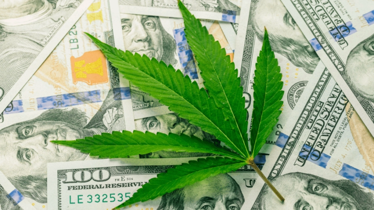 Image of a cannabis leaf on top of $100 bills