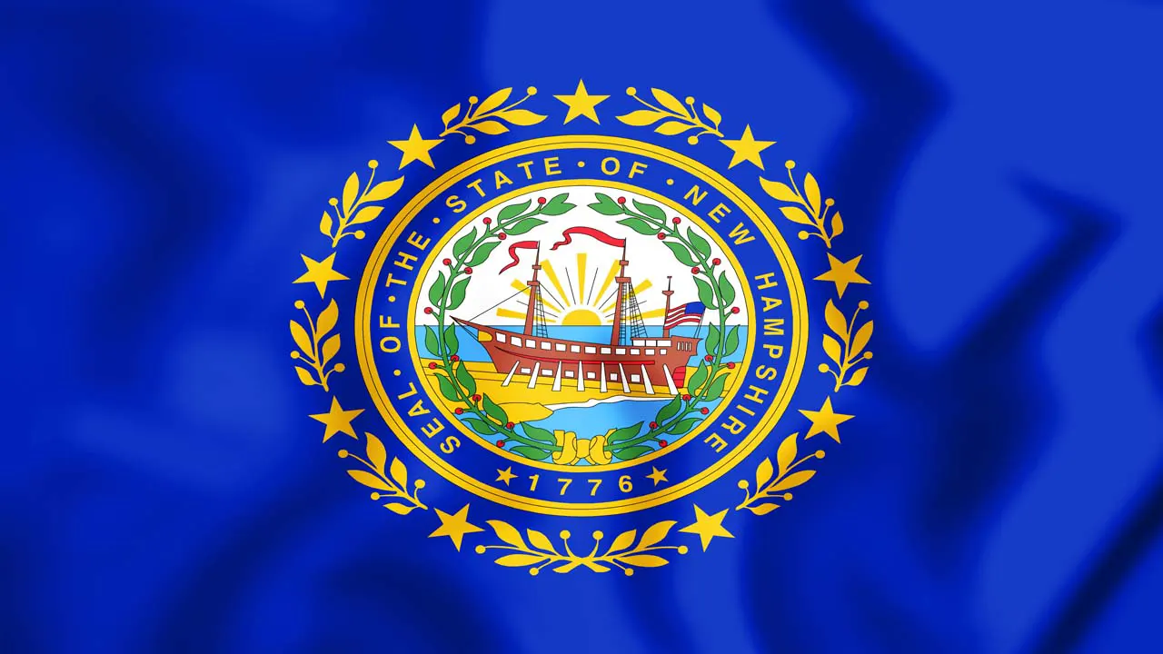 Image of New Hampshire state flag