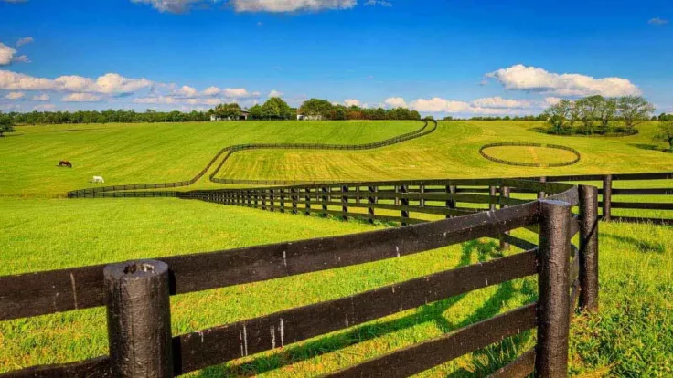 Image of a Kentucky horse farm