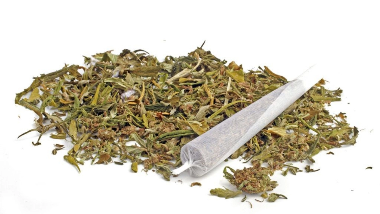 Image of a cannabis joint