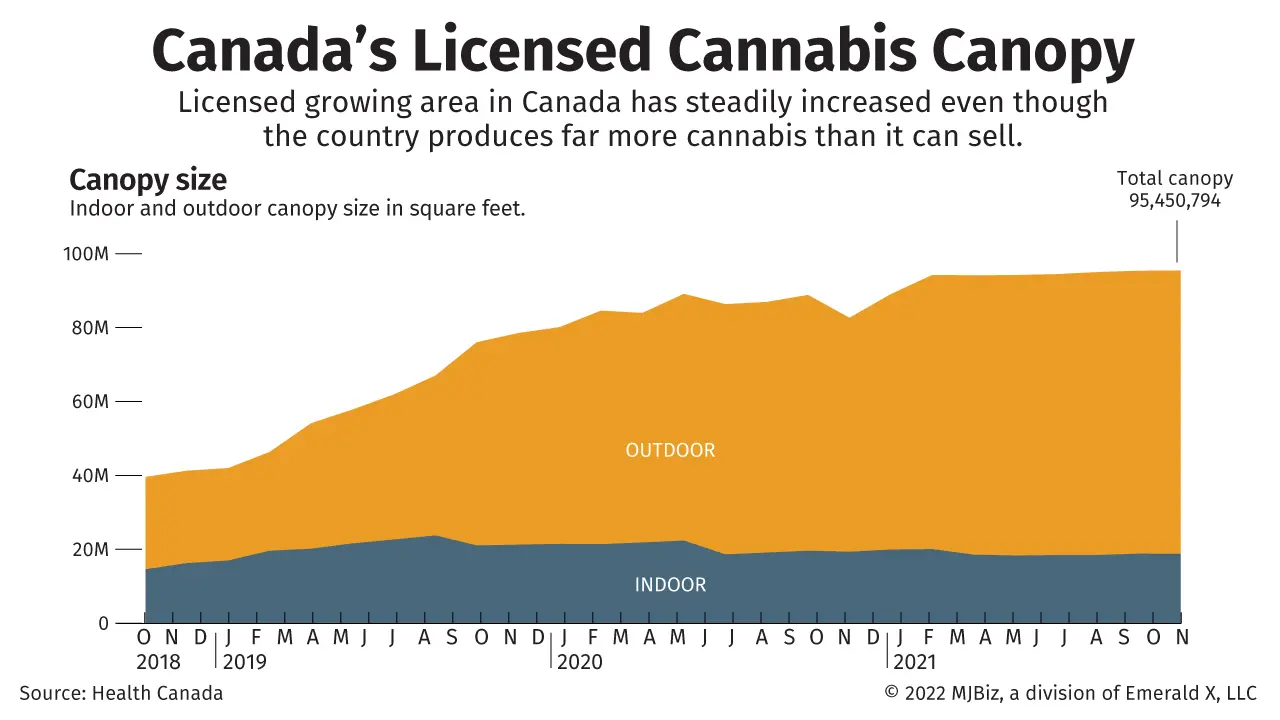 A chart showing the licensed cannabis canopy size in Canada.