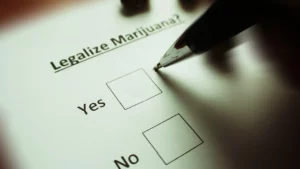 Image of a voter choosing between Yes and No on a marijuana legalization ballot