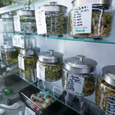 Image of marijuana products on store shelves