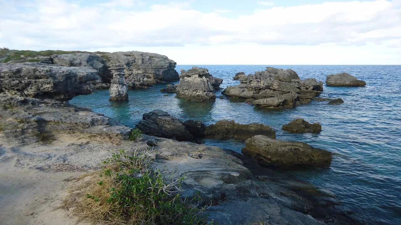 Image of a rocky shoreline in Bermuda