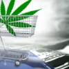 Image of a shopping cart, containing a marijuana leaf, sitting atop a credit card and cash