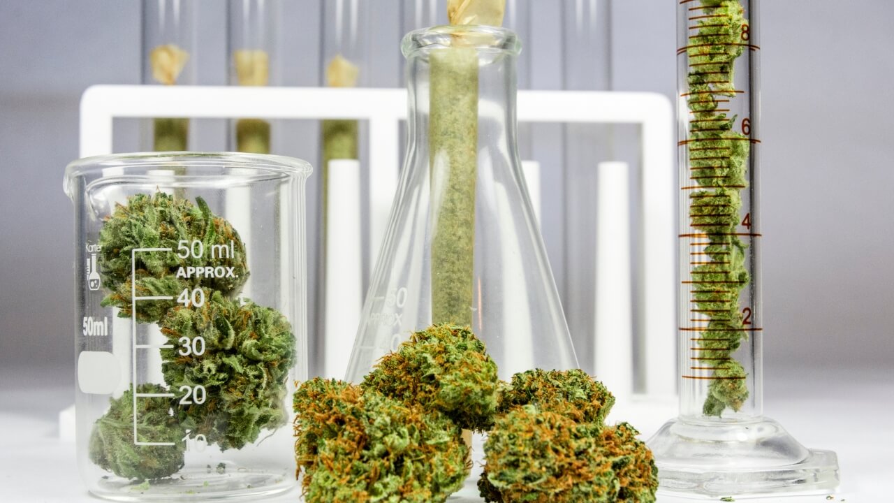 Critics question whether Biden-signed marijuana research law has ‘any value’
