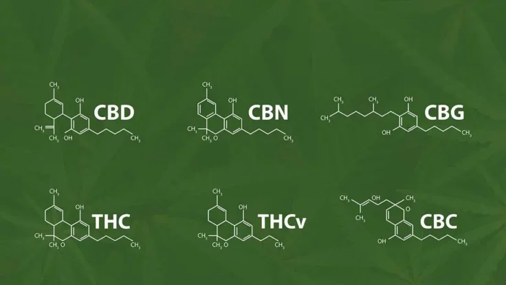 Image of a chalkboard containing a table of cannabinoids