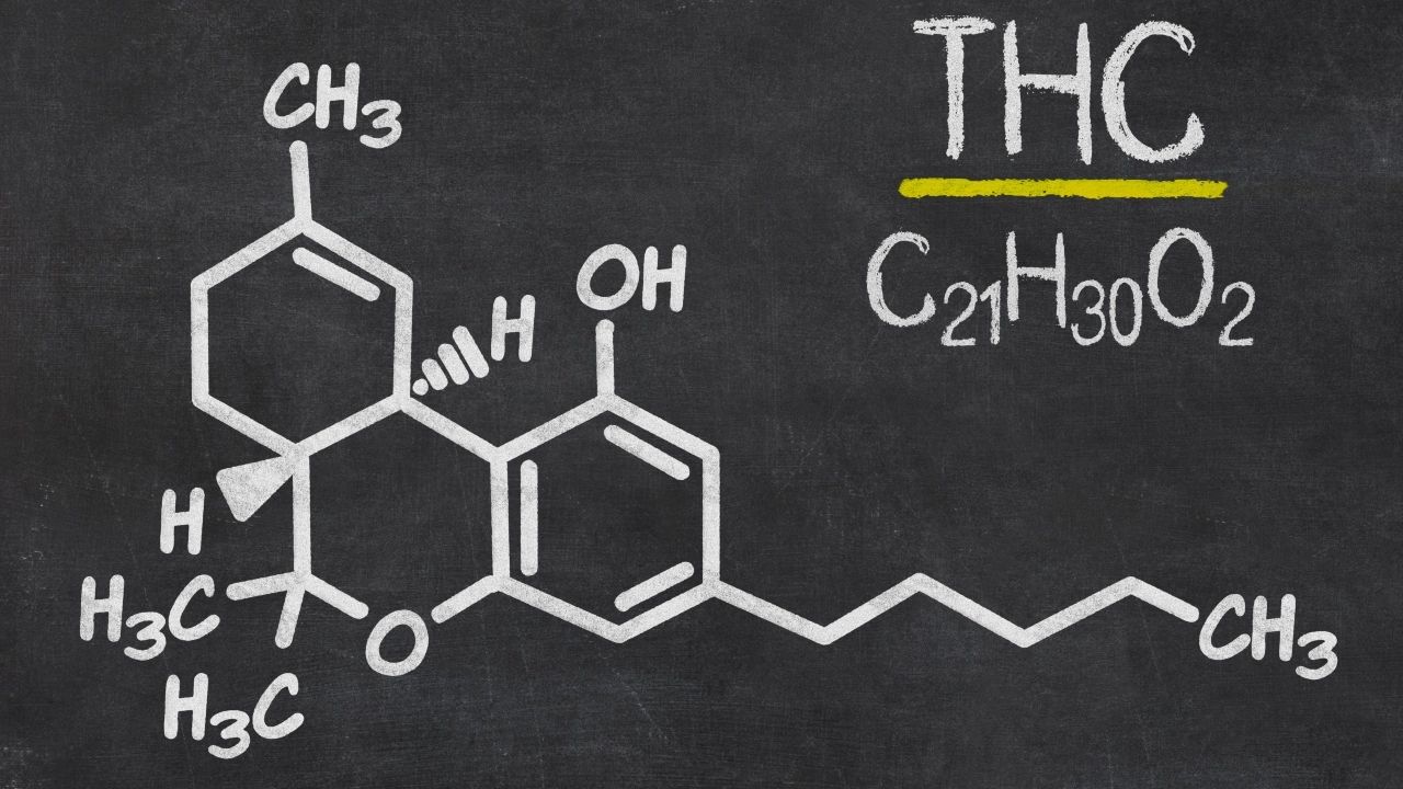 Image showing chemical formula of THC on a chalkboard