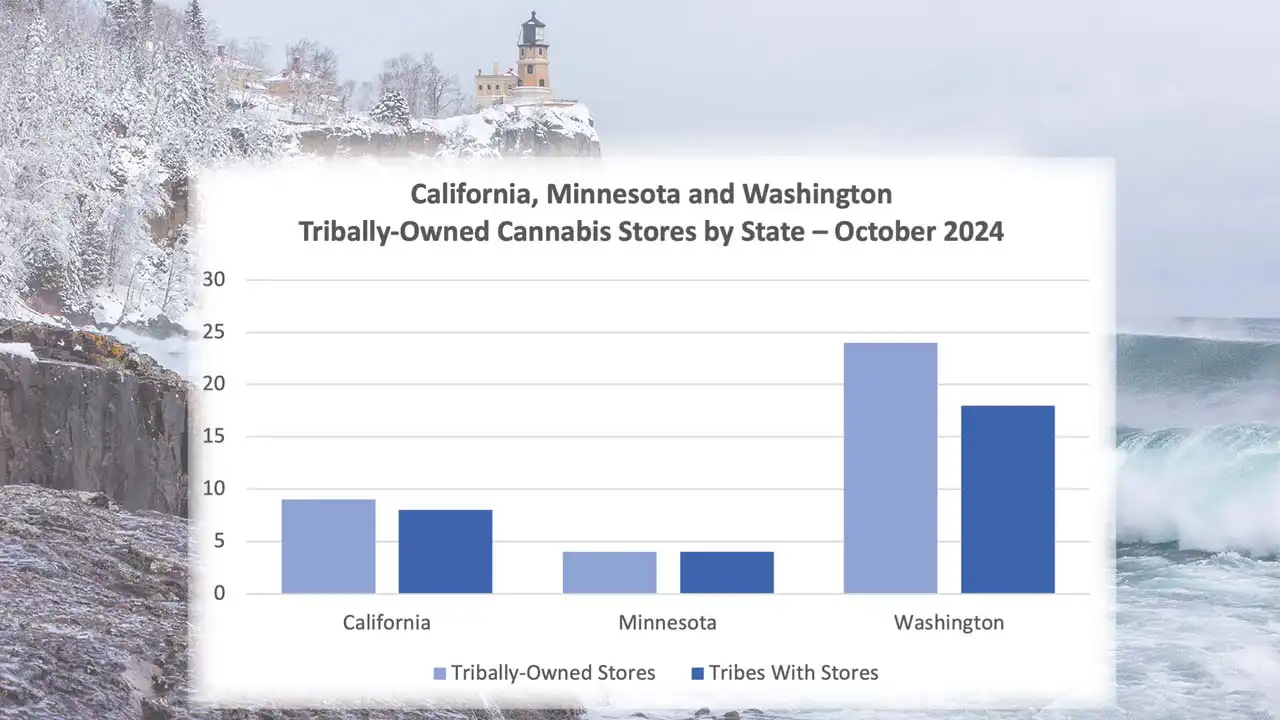 Graph showing tribally-owned cannabis stores in Minnesota, California and Washington state.