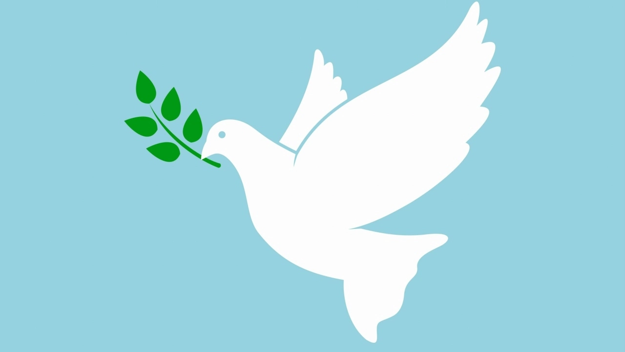 Image of the white bird of peace carrying a branch in its beak