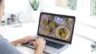 Image of a consumer looking at marijuana products on a laptop
