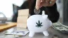 Image of a female hand putting money in a piggy bank bearing a marijuana leaf