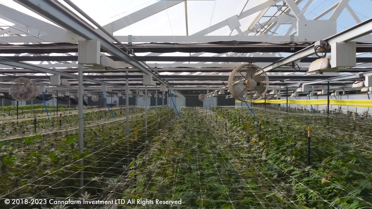 Canopy Growth Corp., Cannafarm Ltd, and Green Thumb Industries: The