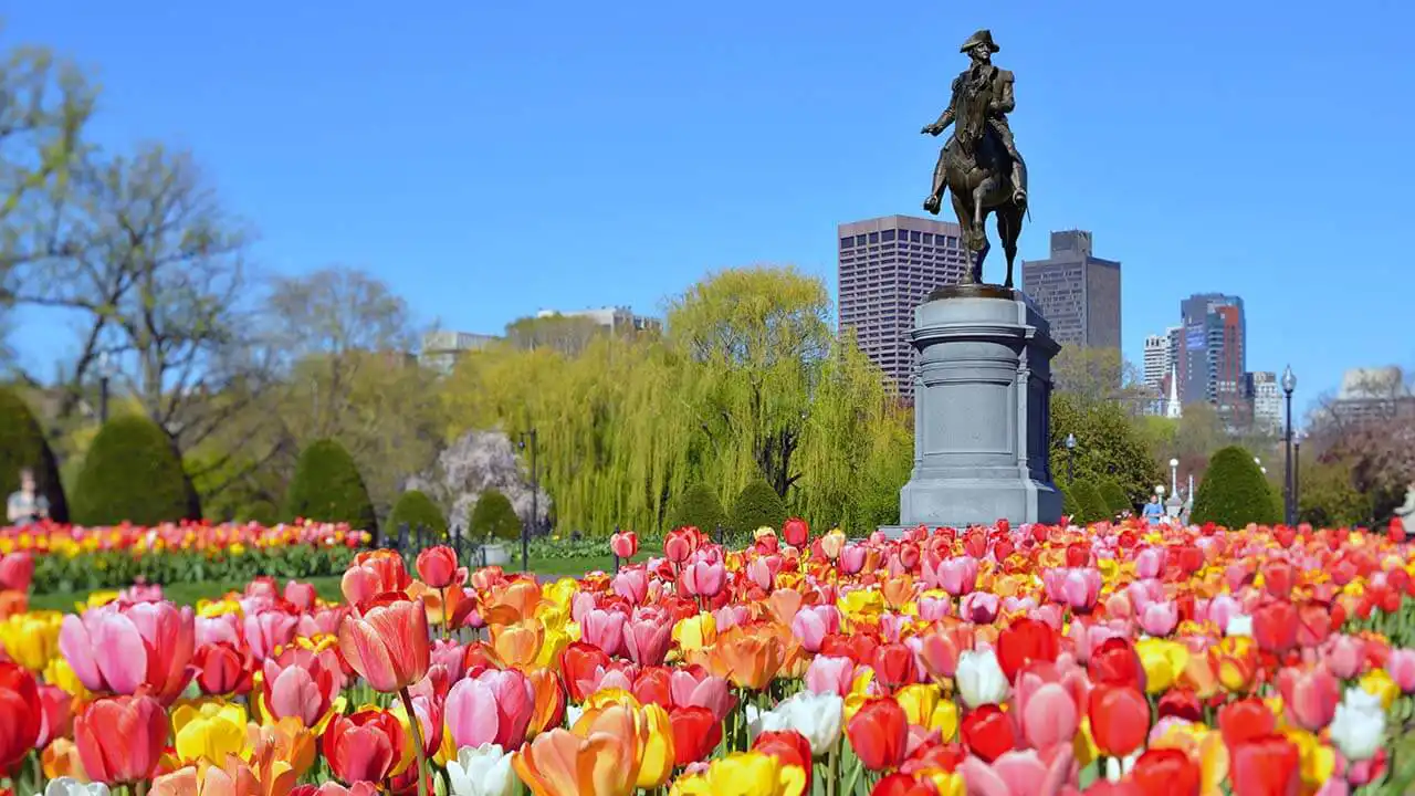 Cannabis MSO Trulieve ceasing operations in Massachusetts