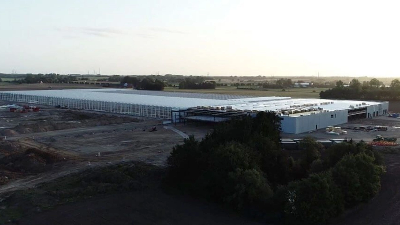 Aurora Cannabis denies reports it acquired another operator