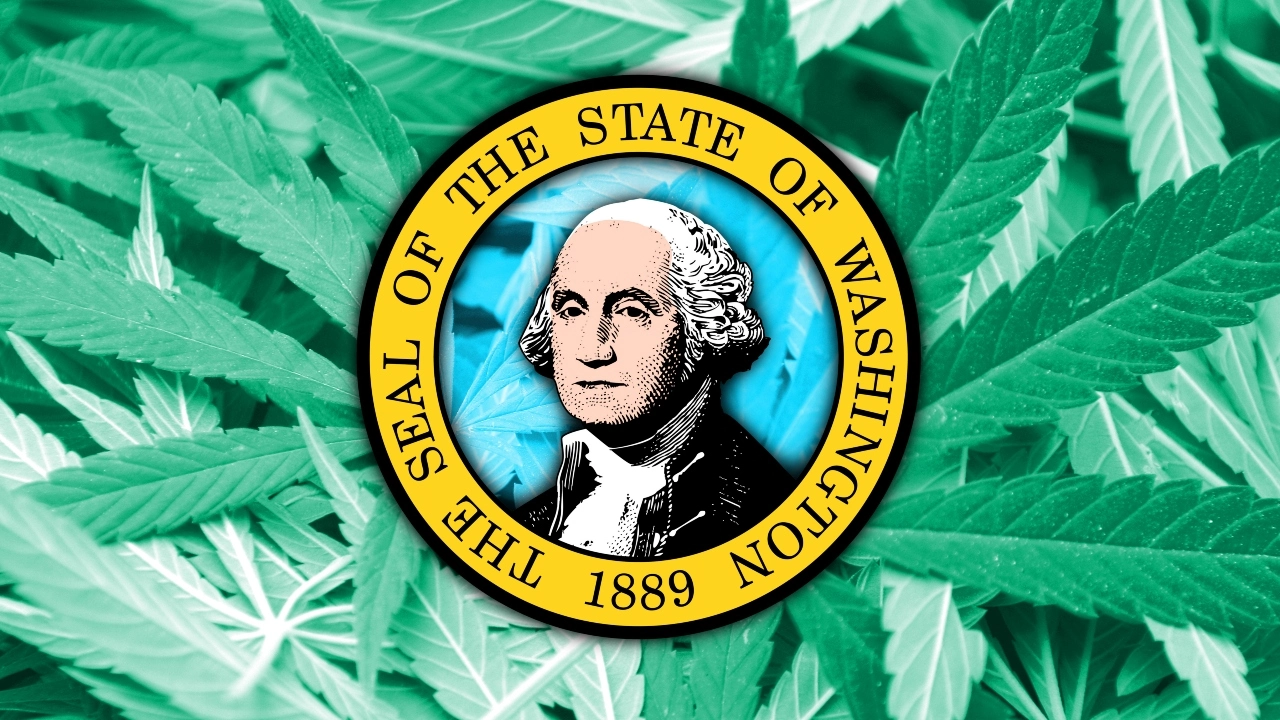 Image of Washington state flag over cannabis background
