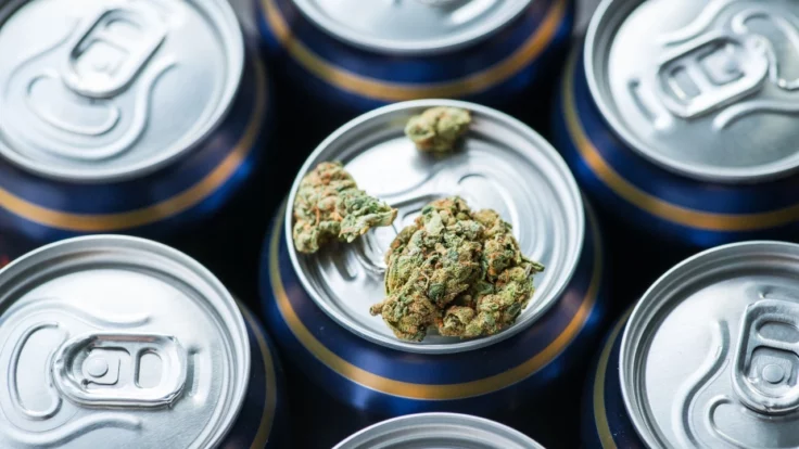 Image of the tops of seven canned beverages with cannabis buds sitting atop the center can