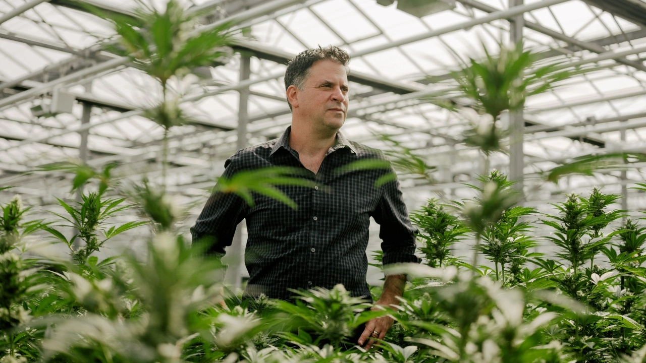 Image of Jason Wild standing amid cannabis plants in a cultivation facility