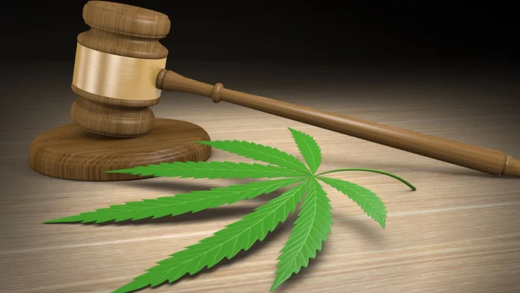 Image of judge's gavel and a marijuana leaf