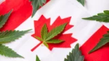 Image of cannabis leaves sitting atop a Canadian flag 
