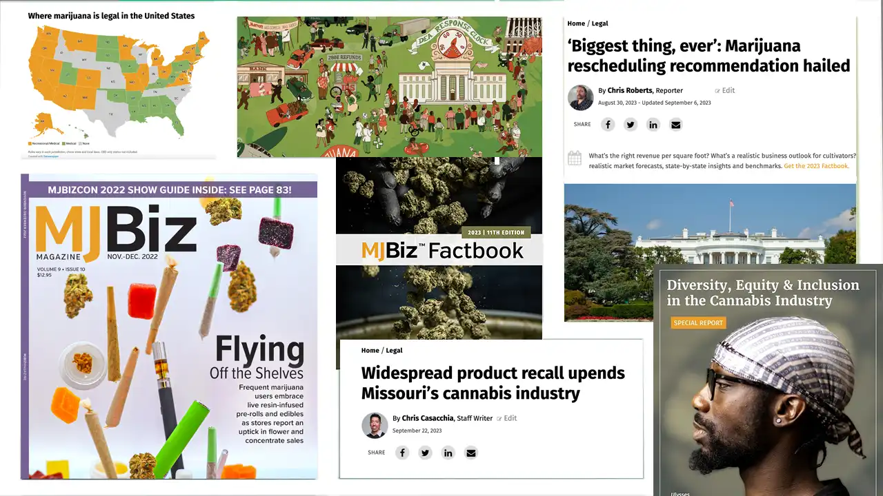 Image of MJBizDaily publications