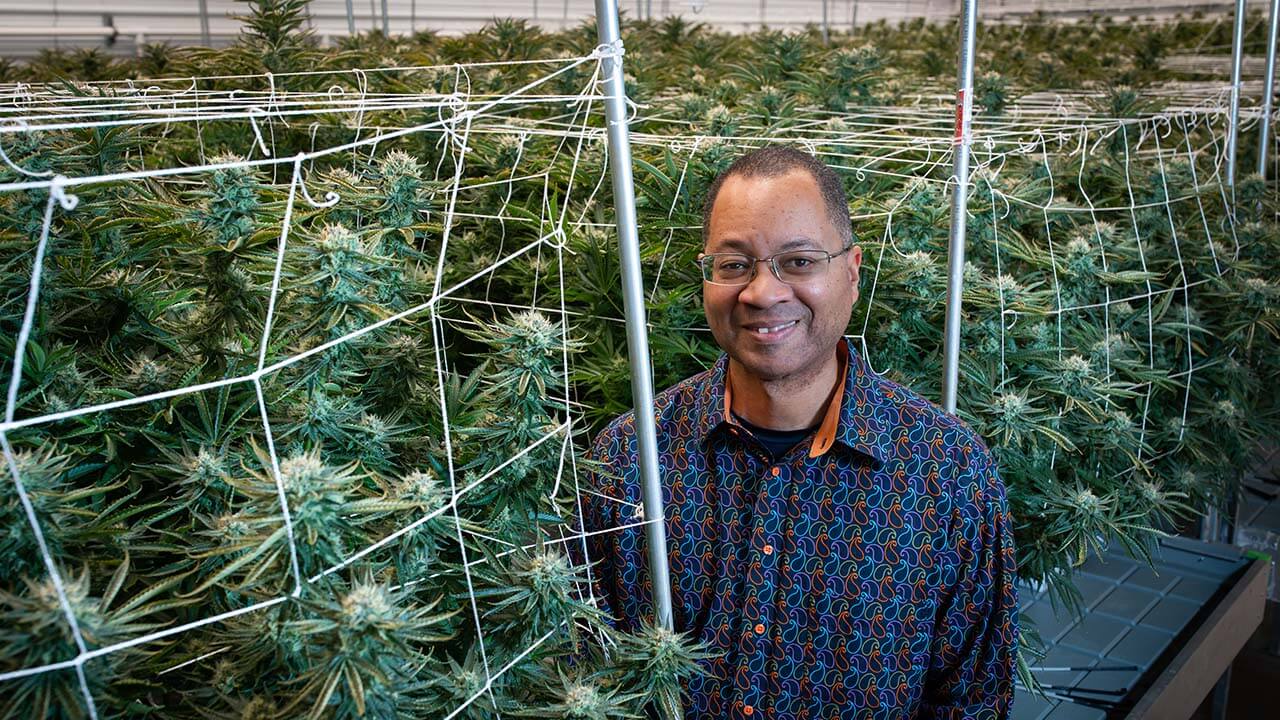 Marijuana trends to extend beyond high THC in 2024