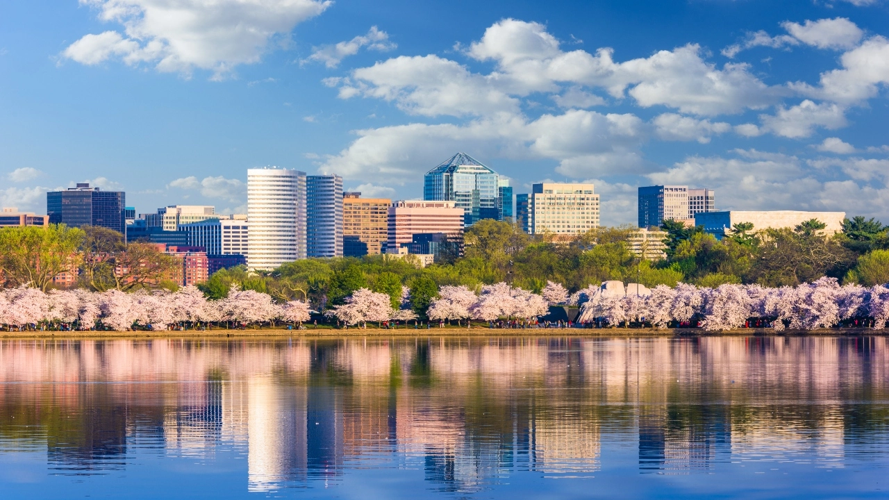 Image of Washington DC skyline in spring