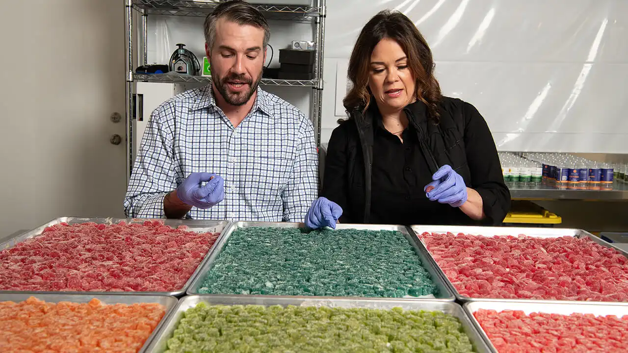 Image of Colt Power and Kim Flores sorting hemp-infused gummies at Power Biopharms in Euless, Texas. 