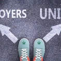 Aerial Image of two shoes, each bearing a cannabis leaf, with the left foot pointing toward the word "Employers" and the right foot toward the word "Unions"