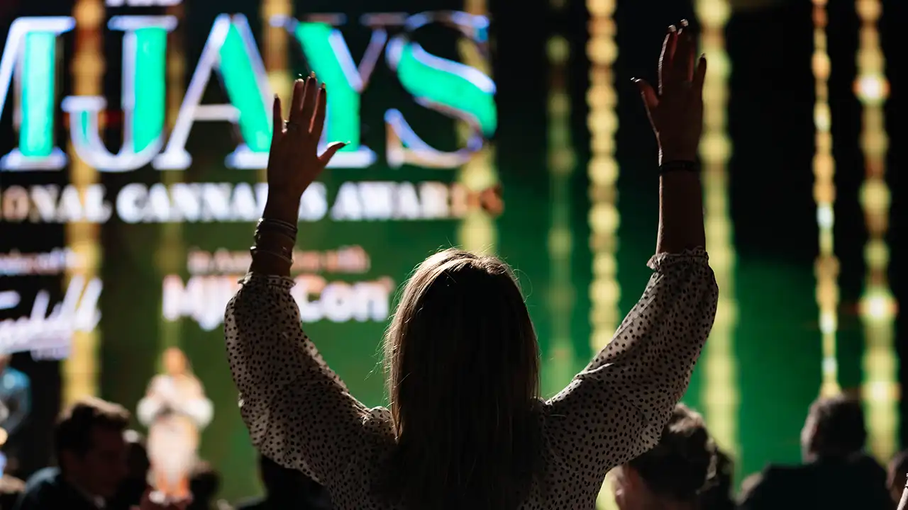 Image of attendee watching The Emjays International Cannabis Awards in 2023