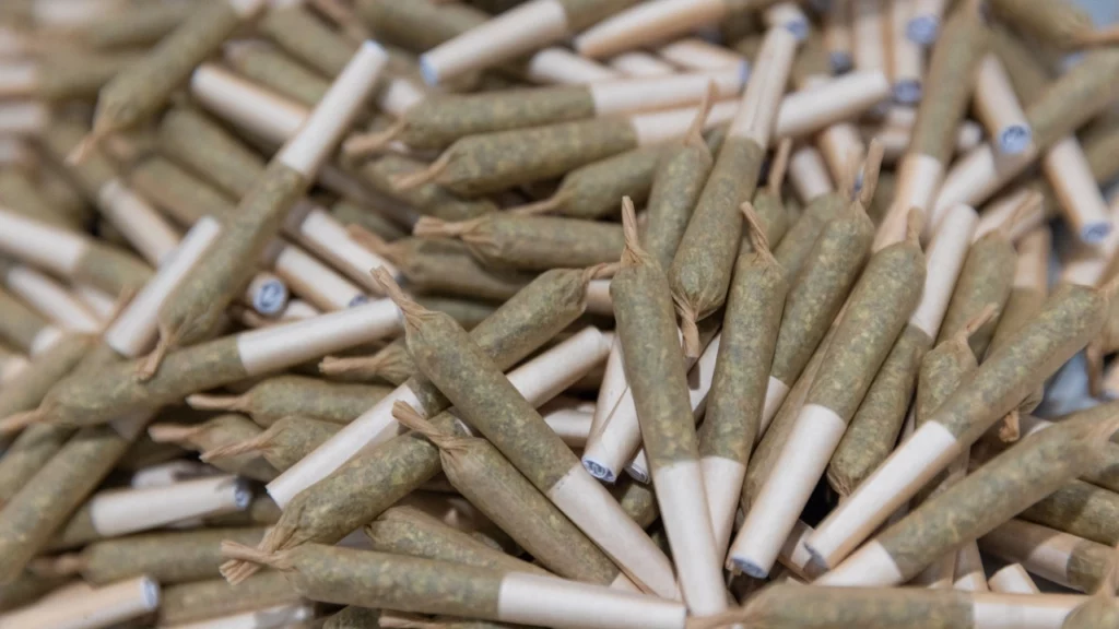 Image of marijuana pre-rolls