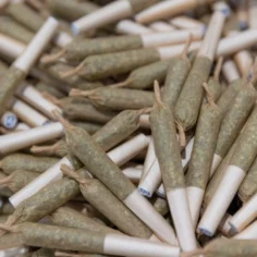 Image of marijuana pre-rolls