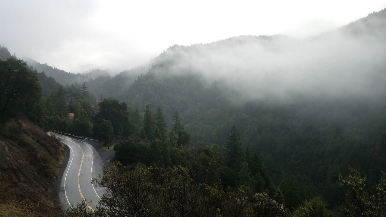 Image of a road in Mendocino County, California, on a foggy, rainy day