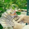 Image of a woman cultivator holding $100 bills in front of cannabis plants