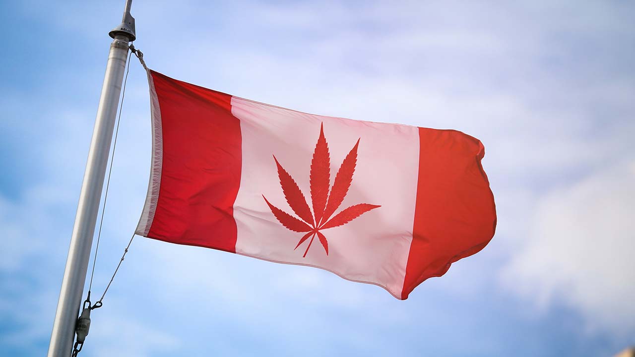 Image of a Canadian flag with a cannabis leaf replacing the maple leaf