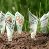 Image of $100 bills growing out of soil like plants