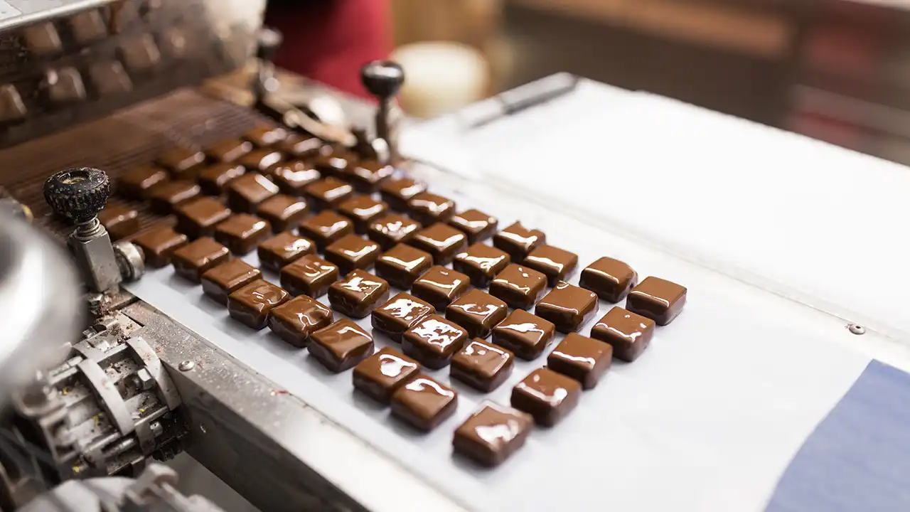 Image of chocolate candies on a conveyor at a confectionery maker