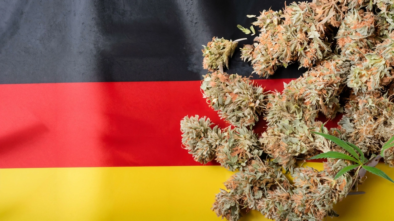 Image of cannabis flower sitting atop a German flag