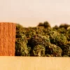 Image of cannabis buds in a shipping crate