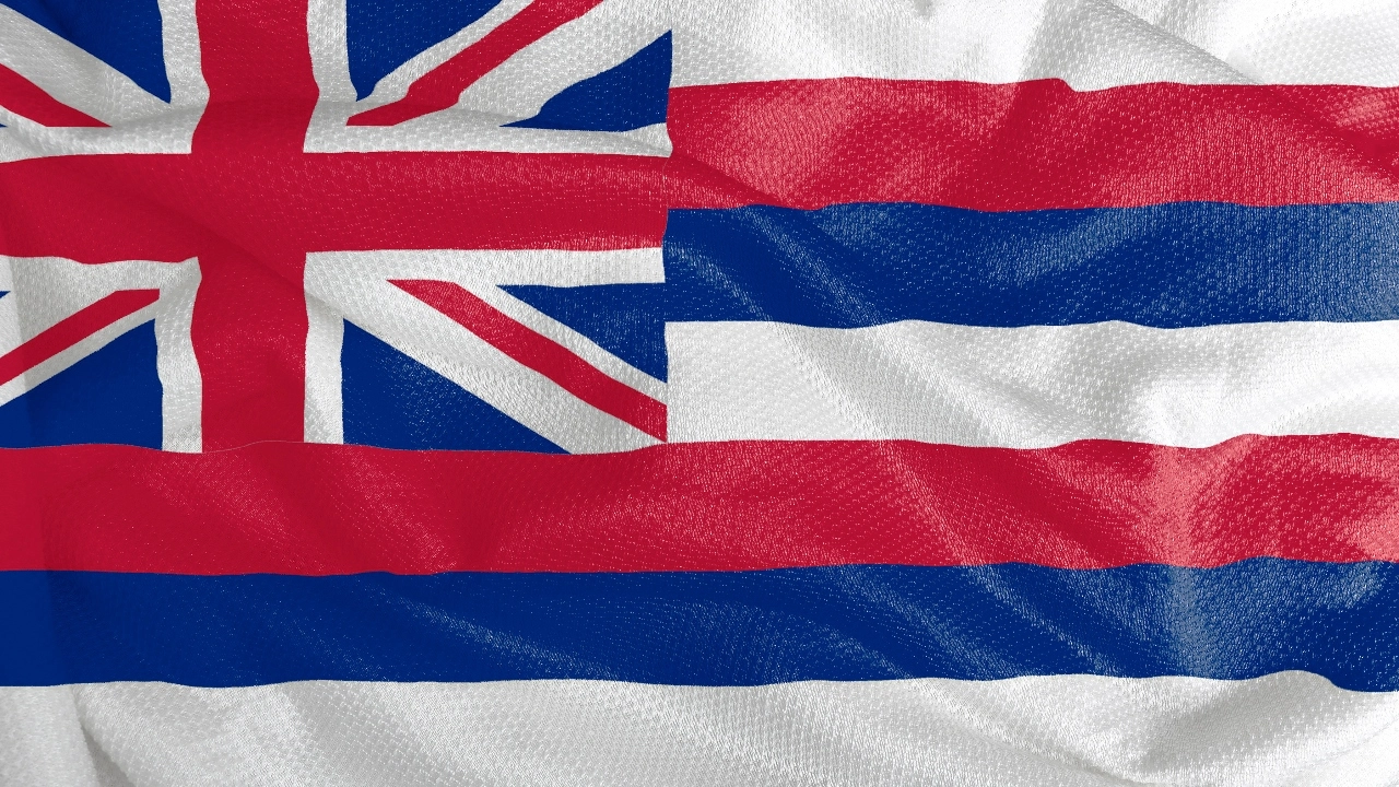 Image of Hawaii's state flag