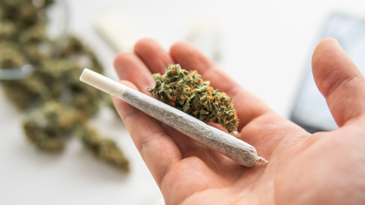 Image of a pre-roll and a flower nugget in the palm of a hand