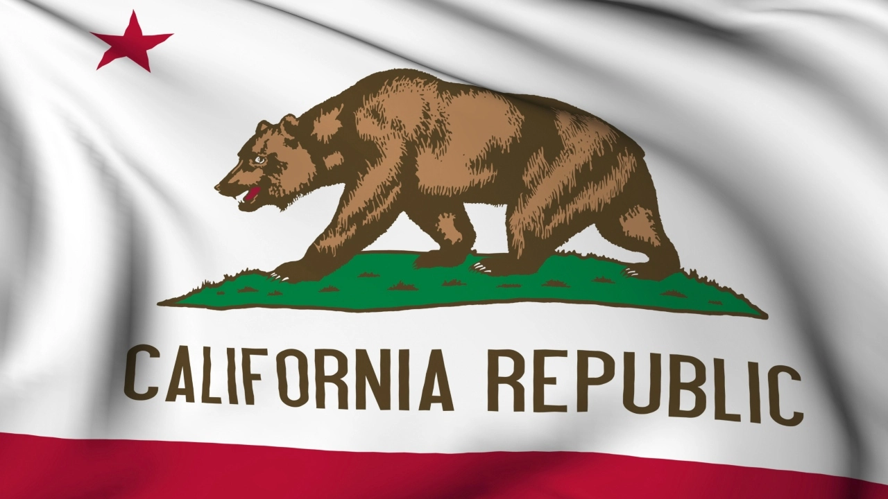 Image of California state flag