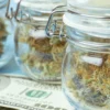 Image of three glass jars containing cannabis sitting atop a stack of $100 bills