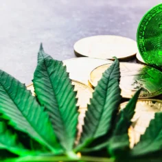 Image of cannabis leaves in front of gold cryptocurrency